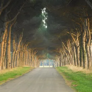 Gasthof Pigreco, Coltano
