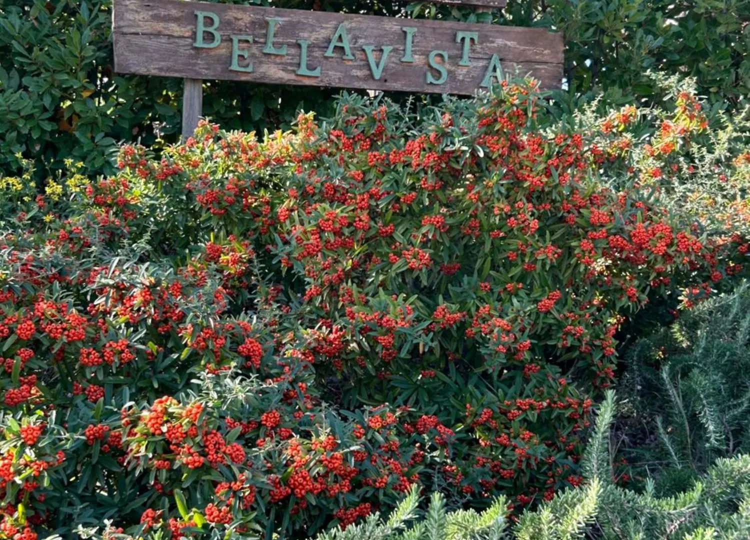 Bed & Breakfast Il Podere Bellavista Montecatini Val di Cecina Italia